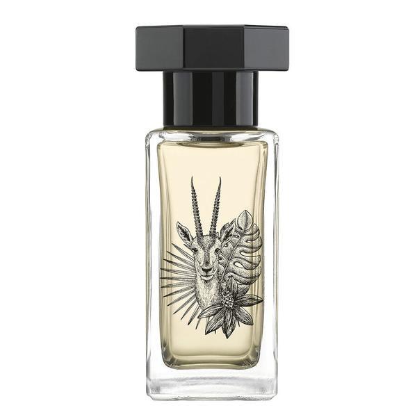 Apa de parfum, Le Couvent des Minimes, Singulieres Saiga, 50 ml