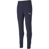 Pantaloni barbati Puma teamGOAL 23 65658206, L, Albastru