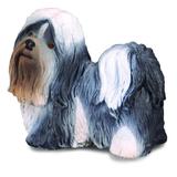 Figurina Shih Tzu - Collecta