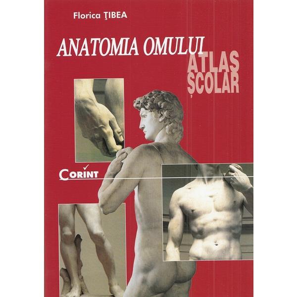 Anatomia omului. Atlas scolar - Florica Tibea, editura Corint