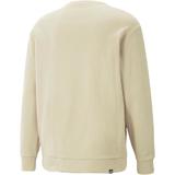 bluza-barbati-puma-radcal-crew-67331788-m-bej-2.jpg