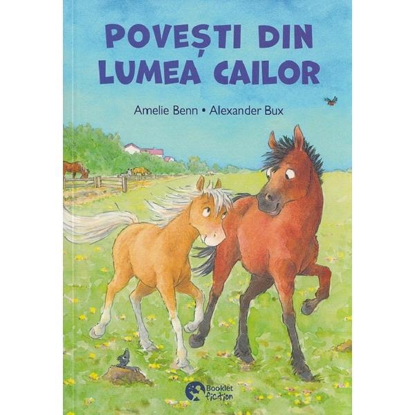 Povesti din lumea cailor. Cel mai curajos viking - Amelie Benn. Fabian Lenk, editura Booklet