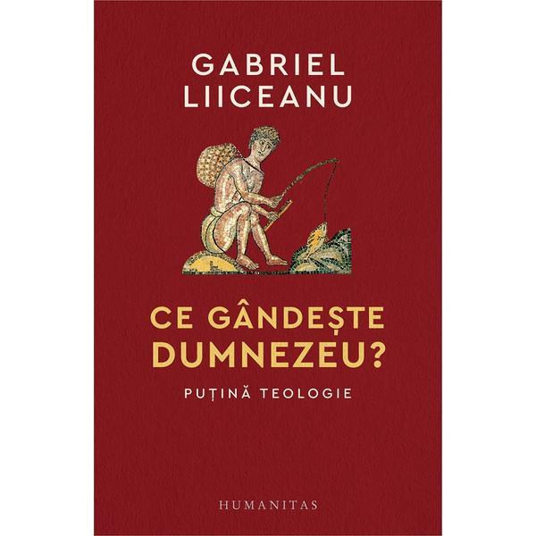 Ce gandeste Dumnezeu? Putina teologie - Gabriel Liiceanu, editura Humanitas