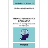 Mediul penitenciar romanesc. Politicile de reintegrare sociala ale detinutilor - Nicoleta-Madalina Ailincai, editura Tritonic