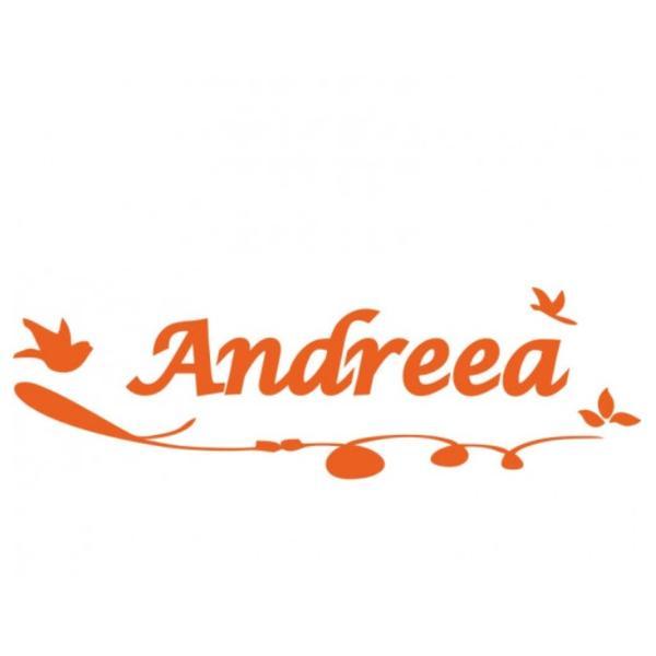 Sticker decorativ, Pasari Andreea, portocaliu, 56x24 cm