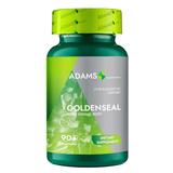 Gentiana 1000 mg Adams Supplements Goldsenseal Liver & Digestive Support, 90 capsule