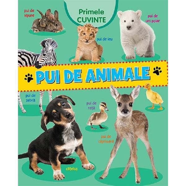 Primele cuvinte. Pui de animale, editura Flamingo