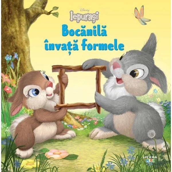 Disney Iepurasi. Bocanila invata formele, editura Litera