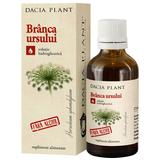 Tinctura Branca Ursului fara Alcool - Dacia Plant, 50 ml