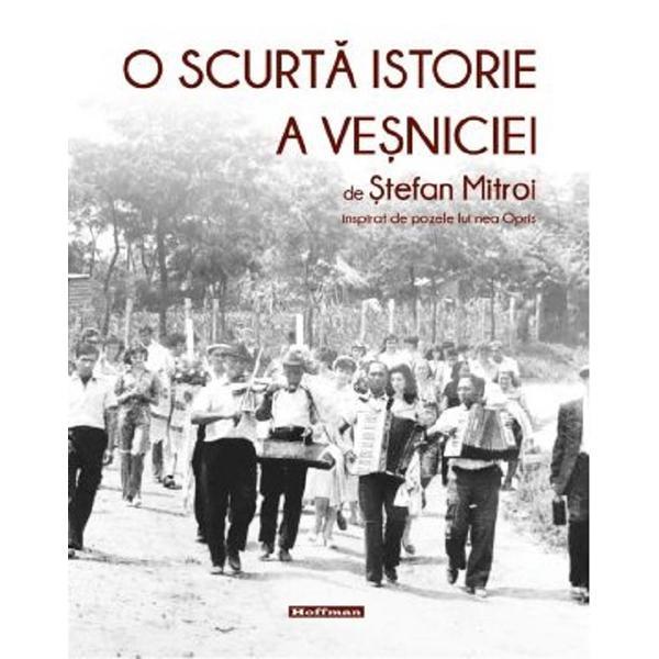 O scurta istorie a vesniciei - Stefan Mitroi, editura Hoffman