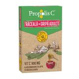 plicuri-propolis-c-raceala-si-gripa-fiterman-pharma-8-buc-1691141408693-1.jpg