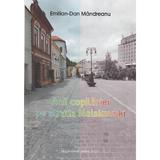 Anii copilariei pe strada Maiakovski - Emilian-Dan Mandreanu, editura Pastel