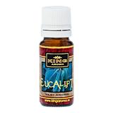 pachet-120-betisoare-parfumate-hem-eucalipt-si-ulei-aromaterapie-eucalipt-kingaroma-10-ml-3.jpg