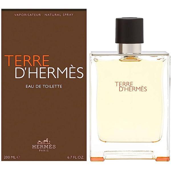 Apa de parfum pentru Barbati Hermes, Terre D&#039;Hermes, 75 ml