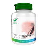 Harpagophytum Pro Natura, Medica, 60 capsule