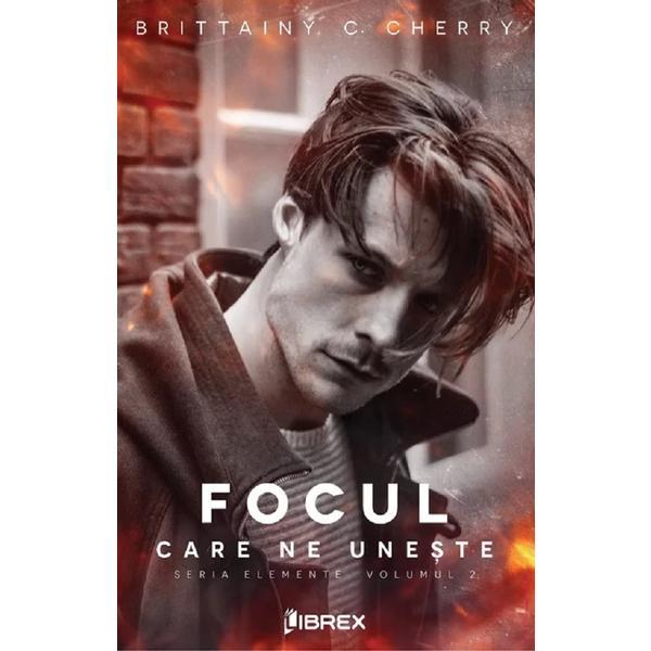 Focul care ne uneste. Seria Elemente Vol.2 - Brittainy C. Cherry, editura Librex