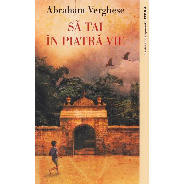 Sa tai in piatra vie - Abraham Verghese, editura Litera