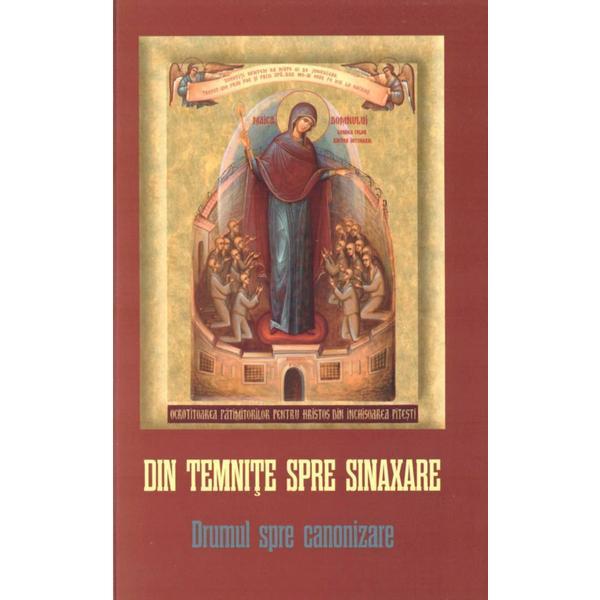 Din Temnite Spre Sinaxare. Drumul Spre Canonizare - Danion Vasile, Editura Areopag