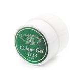 gel-color-unghii-vopsea-de-arta-seria-distinguished-green-global-fashion-5gr-j113-2.jpg