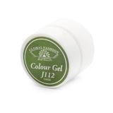 gel-color-unghii-vopsea-de-arta-seria-distinguished-green-global-fashion-5gr-j112-2.jpg