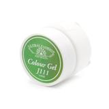 gel-color-unghii-vopsea-de-arta-global-fashion-5gr-j111-2.jpg