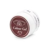 gel-color-unghii-vopsea-de-arta-seria-rose-red-global-fashion-5gr-f71-2.jpg