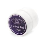 gel-color-unghii-vopsea-de-arta-noble-purple-global-fashion-5gr-h96-2.jpg