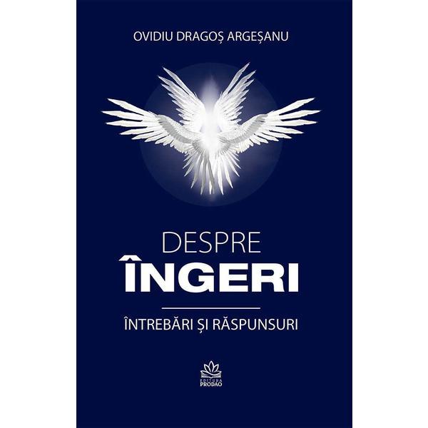 Despre ingeri. Intrebari si raspunsuri - Ovidiu Dragos Argesanu, editura Pro Dao