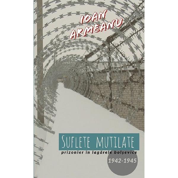 Suflete mutilate. Prizonier in lagarele bolsevice 1942-1945 - Ioan Armeanu, editura Letras