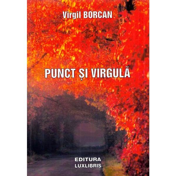 Punct si virgula - Virgil Borcan, editura Lux Libris