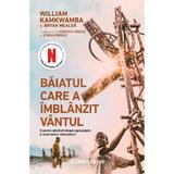 Baiatul care a imblanzit vantul - William Kamkwamba, Bryan Mealer, editura Corint