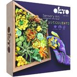 Set creativ: Succulents Energy