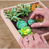 set-creativ-succulents-energy-2.jpg
