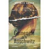 Gemenele de la Auschwitz - Affinity Konar, editura Litera