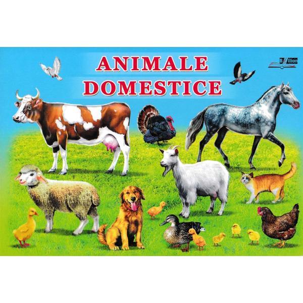 Animale domestice, editura Biblion