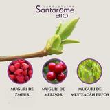 supliment-alimentar-pentru-menopauza-santarome-bio-menopause-organic-30-ml-1713854417303-1.jpg