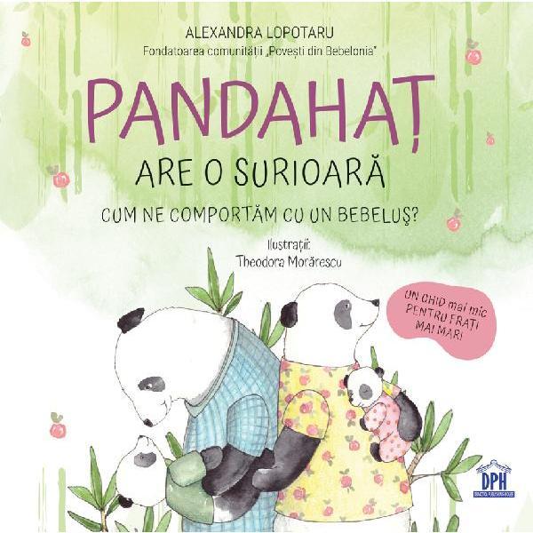 Pandahat are o surioara - Alexandra Lopotaru, editura Didactica Publishing House