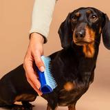 perie-de-par-pentru-animale-tangle-teezer-pet-de-shedding-amp-dog-grooming-brush-small-size-blue-1-buc-1715071938941-1.jpg