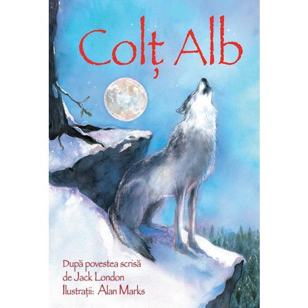 Colt Alb - Sarah Courtauld, editura Didactica Publishing House