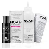 vopsea-de-par-permanenta-fara-amoniac-pe-baza-de-ulei-noah-color-in-oil-nuanta-1-0-negru-intens-raven-black-135-ml-1716899476141-2.jpg