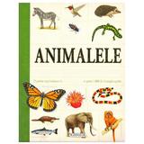 Animalele. Enciclopedie pentru copii, editura Flamingo