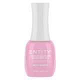 Gel Pigmentat pentru Unghii - Entity Color Couture Soak Off Gel, nuanta "Beach Blanket", 15 ml