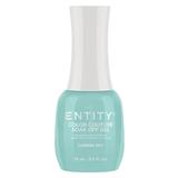 Gel Pigmentat pentru Unghii - Entity Color Couture Soak Off Gel, nuanta "Camera Shy", 15 ml