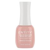 Gel Pigmentat pentru Unghii - Entity Color Couture Soak Off Gel, nuanta 