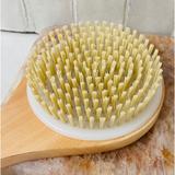 perie-pentru-baie-cu-maner-lung-cleanlogic-bath-amp-body-bristle-bath-brush-1-buc-1721043650838-2.jpg