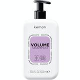 Sampon pentru Volum pentru Parul Fin - Kemon Care Volume Shampoo, 1000 ml