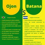 ulei-ojon-batana-de-brazilia-perevo-50-ml-5.jpg