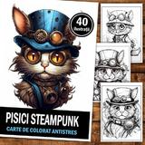 carte-de-colorat-pentru-relaxare-si-antistres-40-de-ilustratii-pisici-steampunk-editura-legendary-print-86-pagini-3.jpg