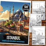 carte-de-colorat-pentru-relaxare-si-antistres-50-de-ilustratii-istanbul-editura-legendary-print-106-pagini-2.jpg