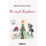 Pe Urmele Copilariei - Maria Felicia Pinte